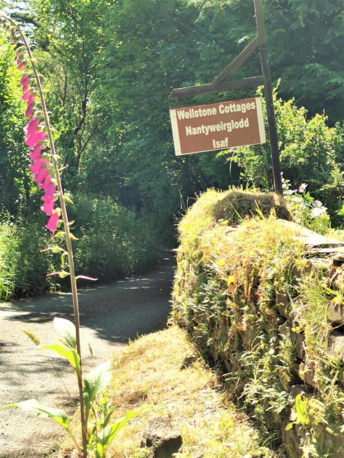 Wellstone Cottages - Honey Coach House Llanfyrnach Εξωτερικό φωτογραφία