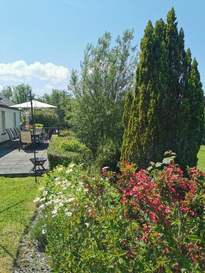 Wellstone Cottages - Honey Coach House Llanfyrnach Εξωτερικό φωτογραφία